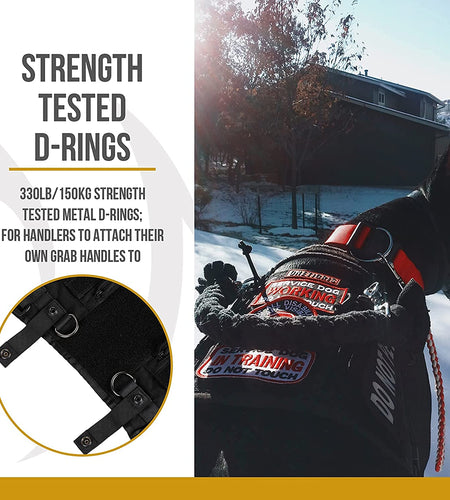 Service Dog Harness No-Pull Dog Harness Adjustable Comfort Pet Dog Vest Harness for Outdoor Walking (Black, Long Version)